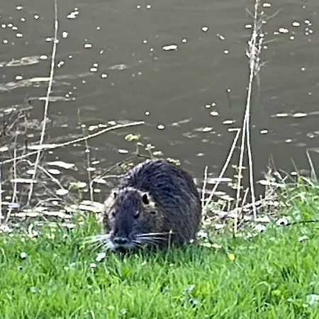 Ferienpension Bei Stenze