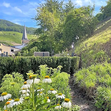 Ferienpension Bei Stenze Inklusive Kostenlosem Regionalem Nahverkehr 4* زينهايم