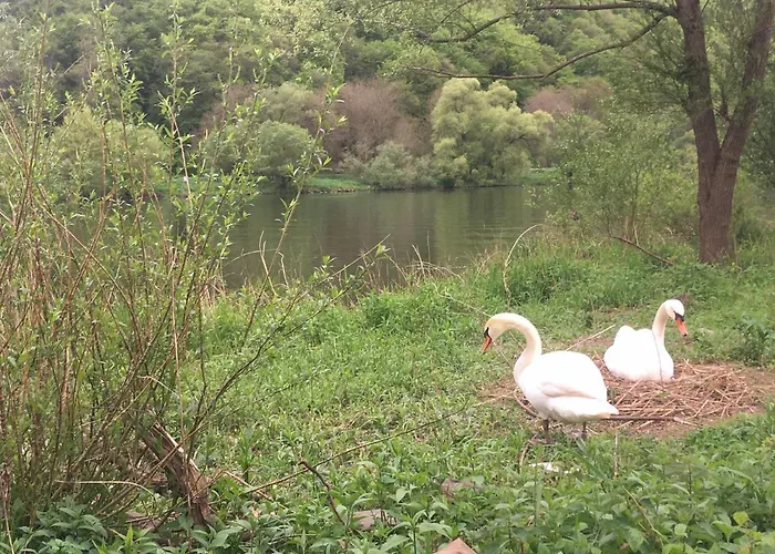 Ferienpension Bei Stenze