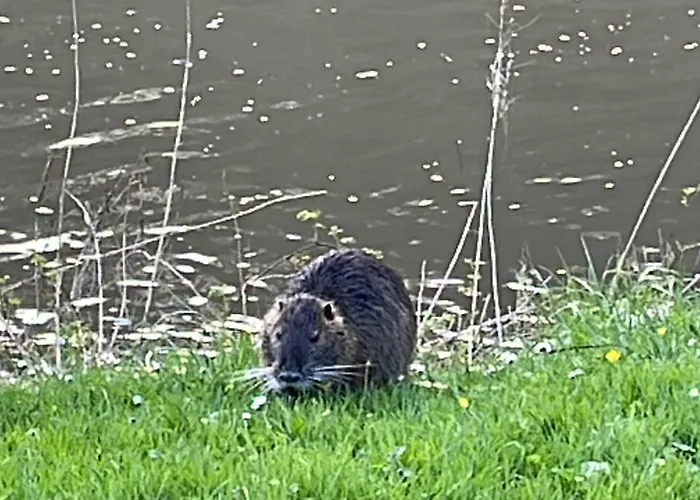 Ferienpension Bei Stenze Inklusive Kostenlosem Regionalem Nahverkehr